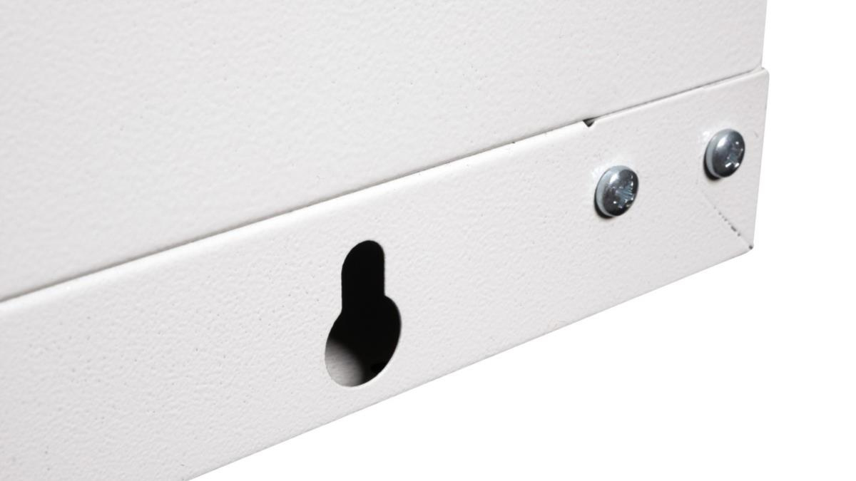Wirewin WCAB PS3 600X450X9U rack cabinet 9U Wall mounted rack Light grey