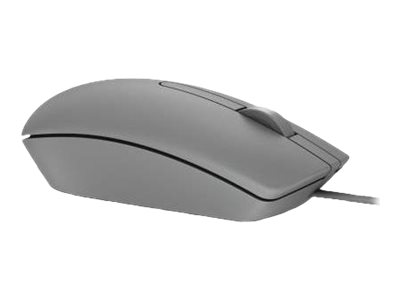DELL MS116 souris Ambidextre USB Type-A Optique 1000 DPI