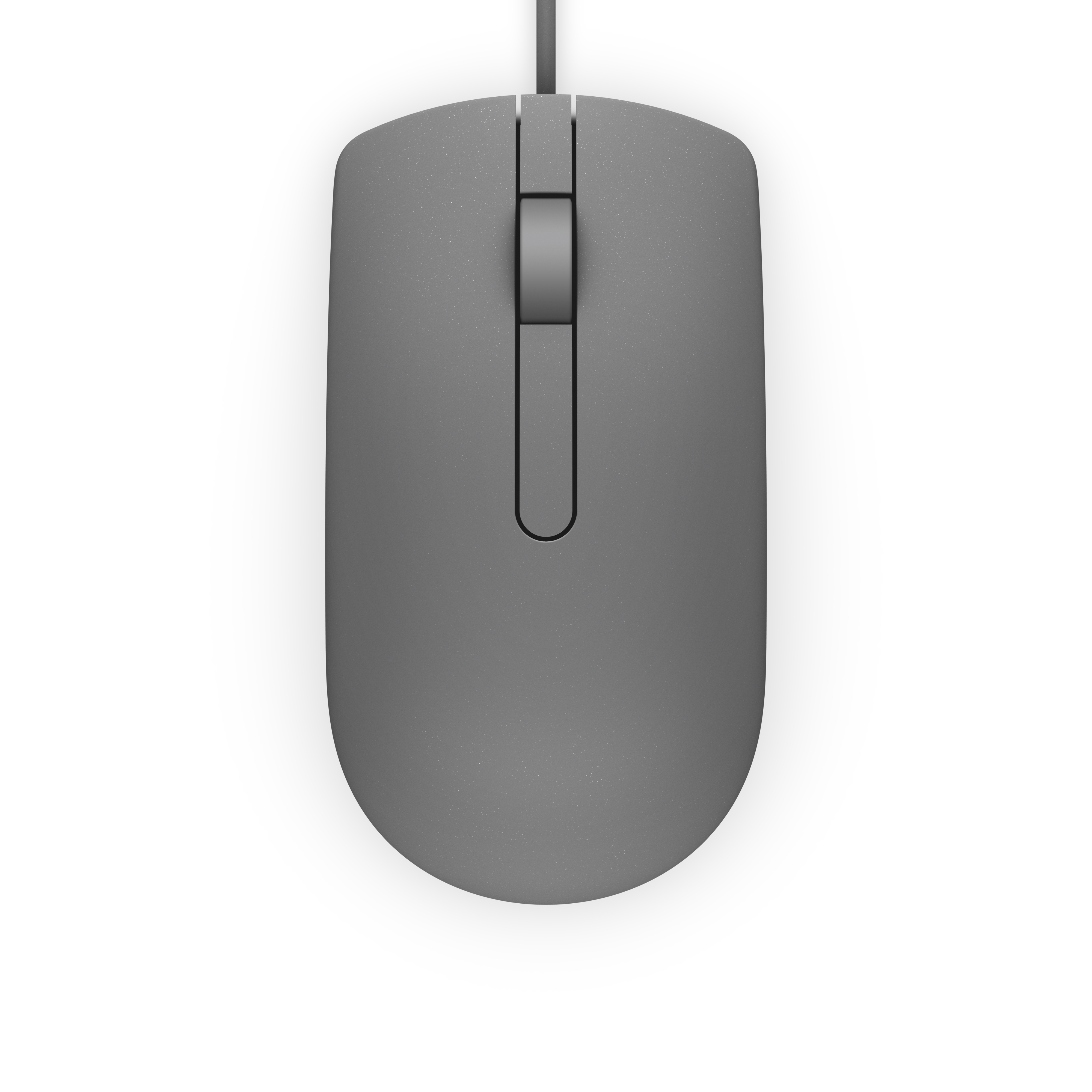 DELL MS116 souris Ambidextre USB Type-A Optique 1000 DPI