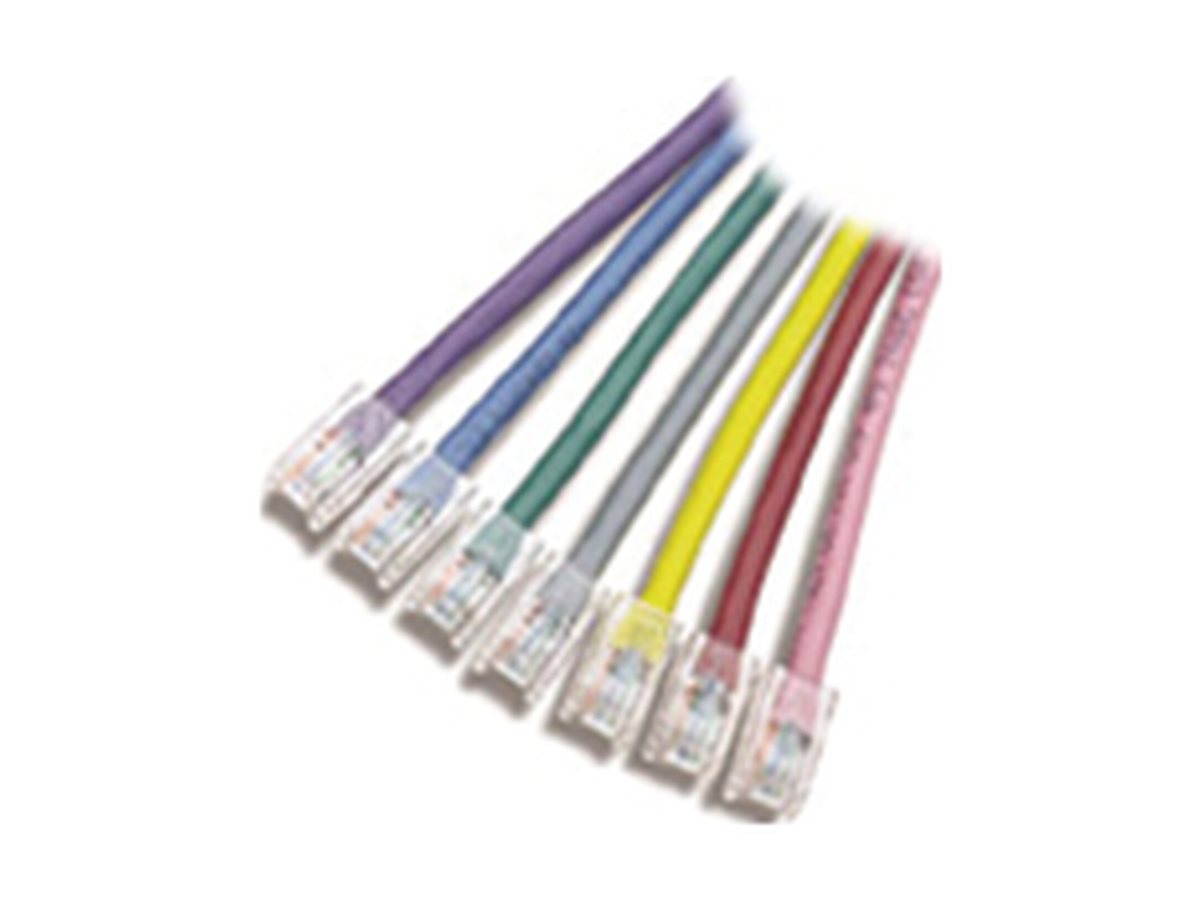 APC 100ft Cat5e UTP cavo di rete Grigio 30,5 m U/UTP (UTP)