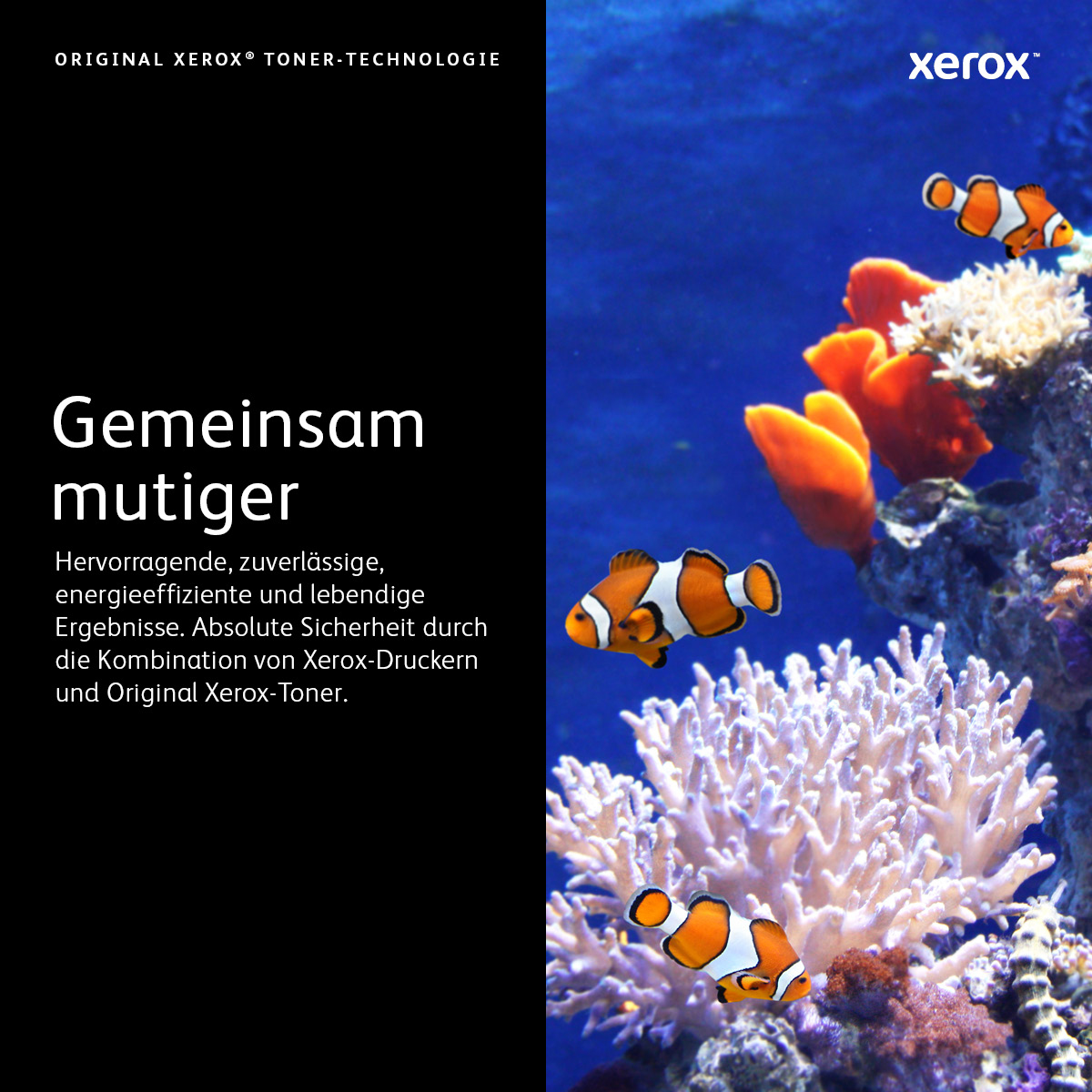 Xerox Tinta Slida Genuina Phaser 8860/8860MFP Cin (6 Barras)