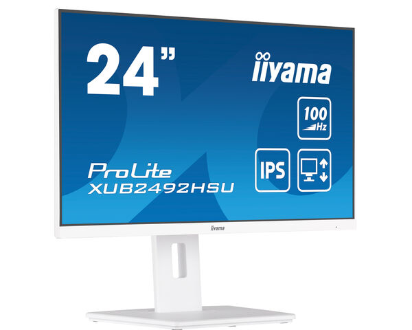 Iiyama ProLite XUB2492HSU-W6 - LED-Monitor - 61 cm (24)