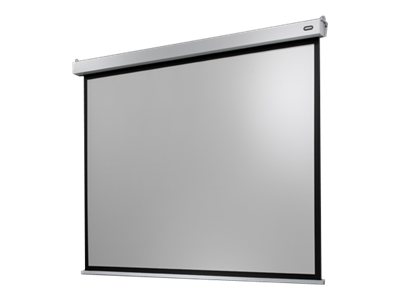 celexon Electric Professional Plus Data format - Leinwand - Deckenmontage m�glich, geeignet f�r Wandmontage - motorisiert - 230 V - 375 cm (148)
