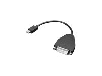 Lenovo DisplayPort-Adapter - Single Link - Mini DisplayPort (M)