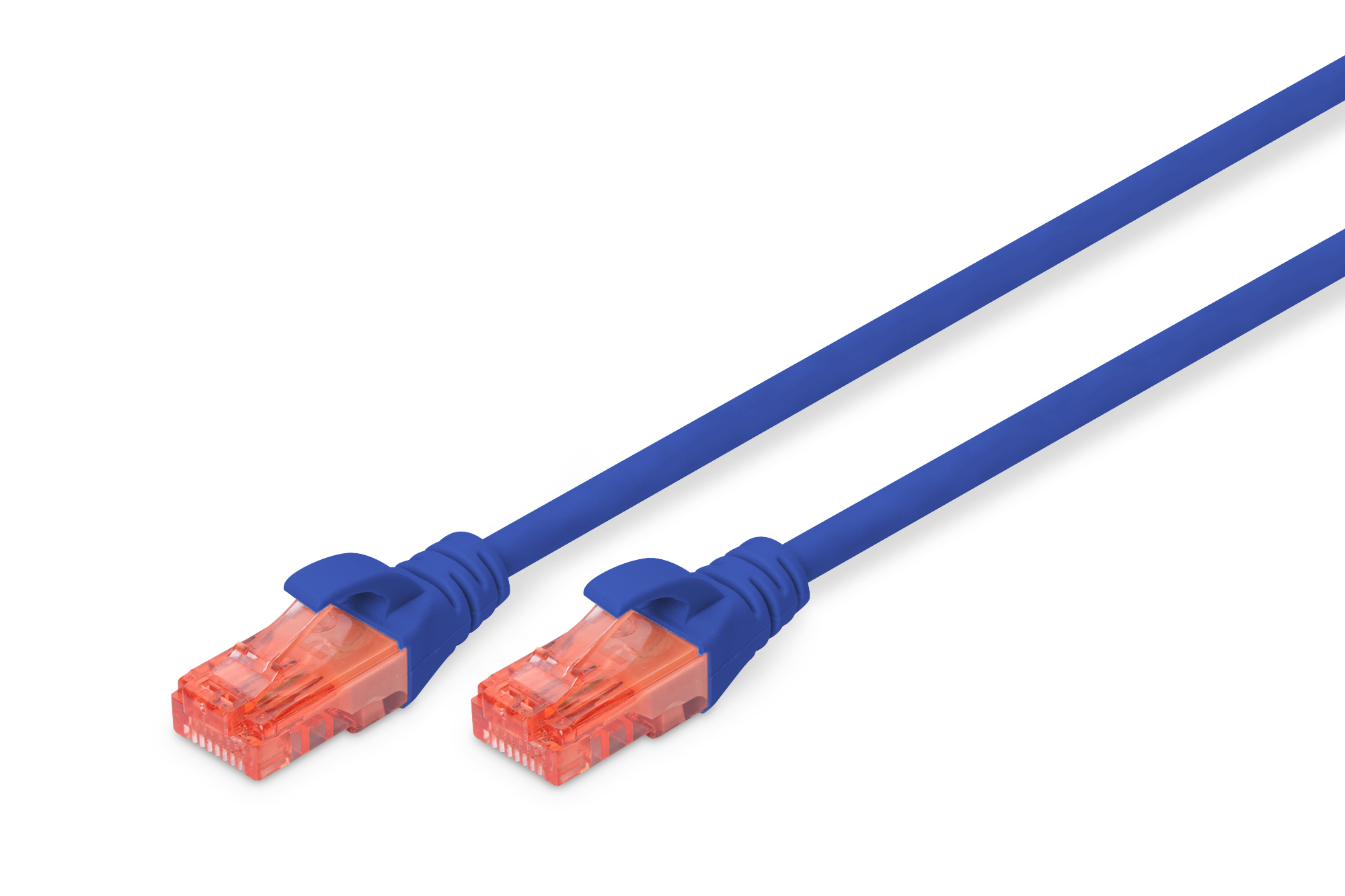 Digitus Cable de conexin CAT 6 U-UTP