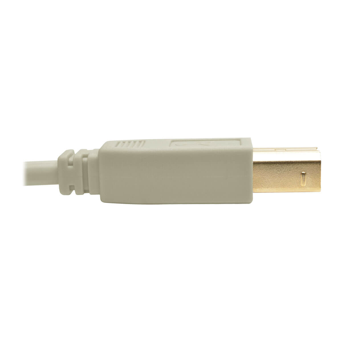 Tripp Lite U022-010-BE cavo USB USB 2.0 3,1 m USB A USB B Beige