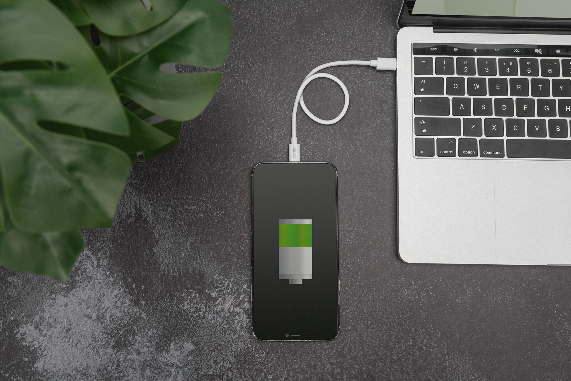 Digitus Cavo dati/di ricarica, Lightning-USB-C , MFI, 1m