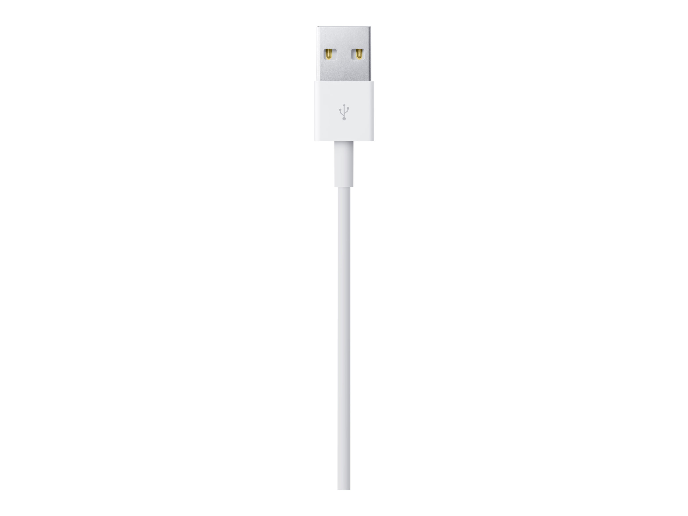 Apple Lightning / USB 0,5 m Blanc