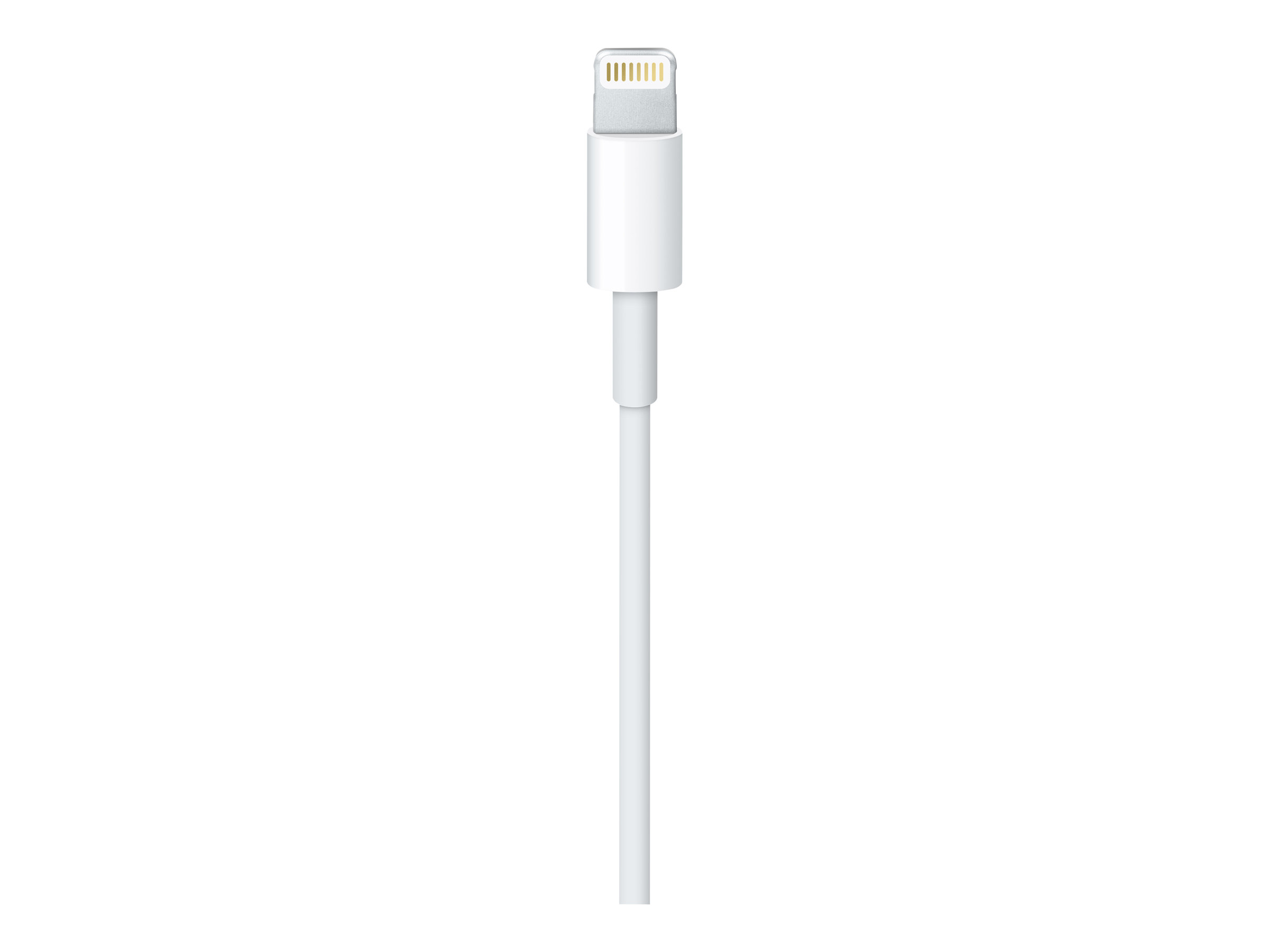 Apple Lightning / USB 0,5 m Blanc