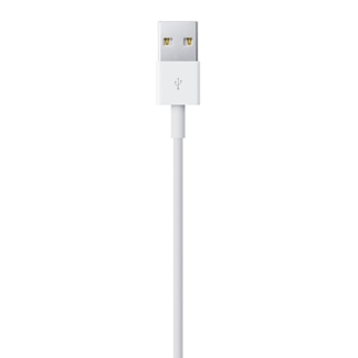 Apple Lightning / USB 0,5 m Blanc