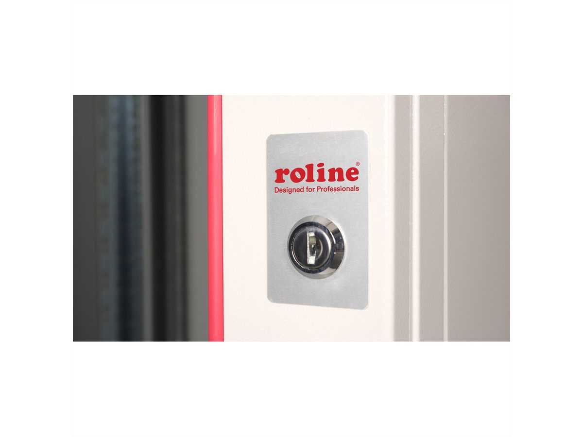 ROLINE Pro - Schrank Netzwerkschrank - 600 x 450 mm (B x T)