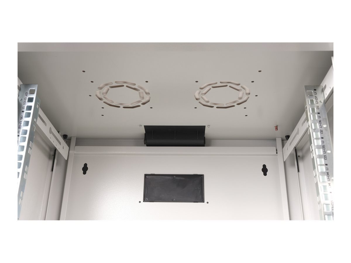 ROLINE Pro - Schrank Netzwerkschrank - 600 x 450 mm (B x T)