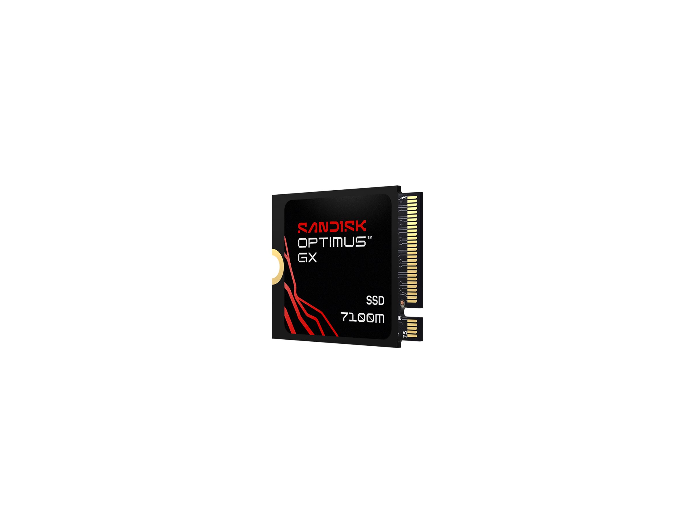 SanDisk Optimus GX 7100M - SSD - 1 TB - intern - M.2 2230 - PCIe 4.0 x4 (NVMe)