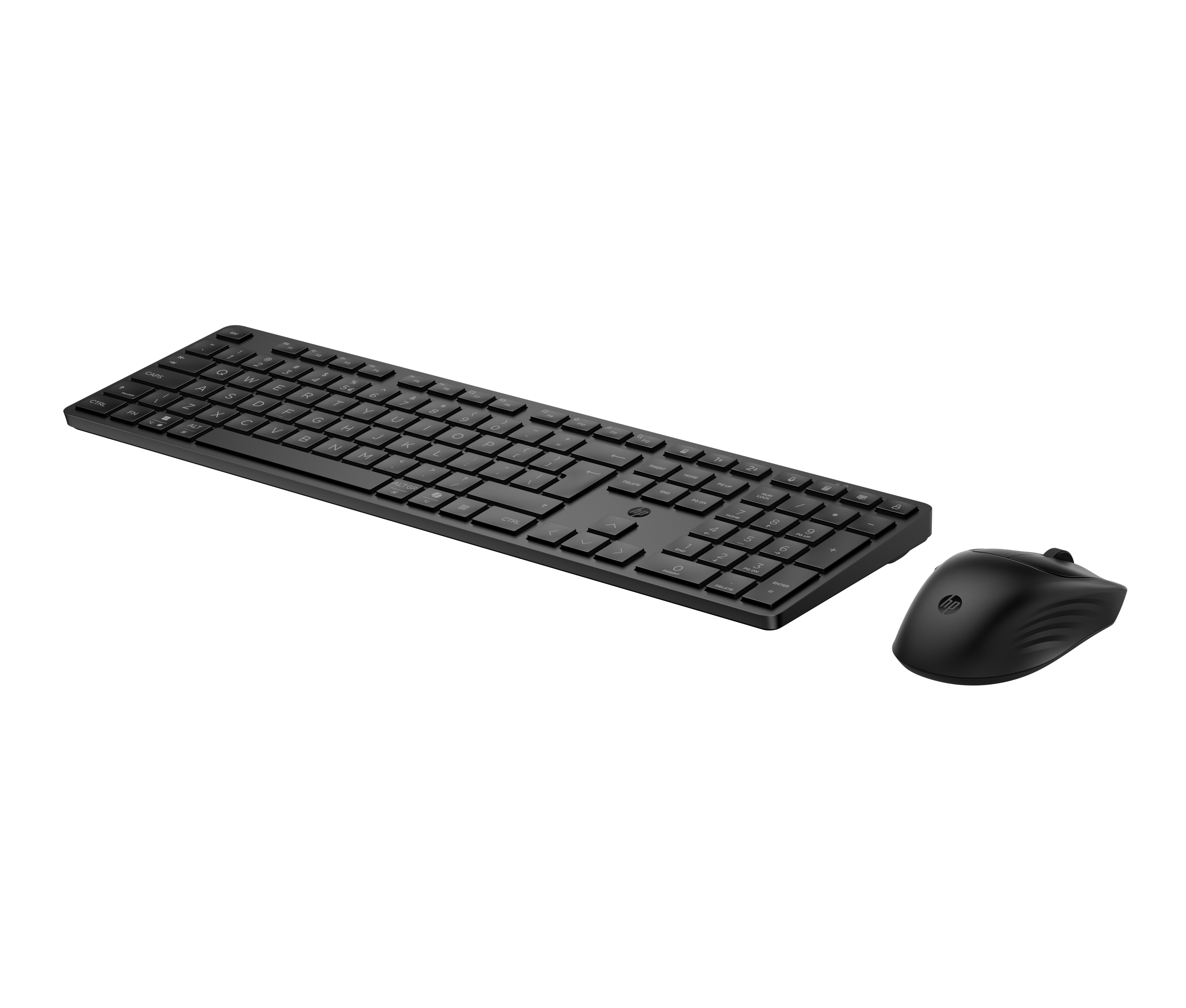 HP 495C - Tastatur-und-Maus-Set - Dual-Modus