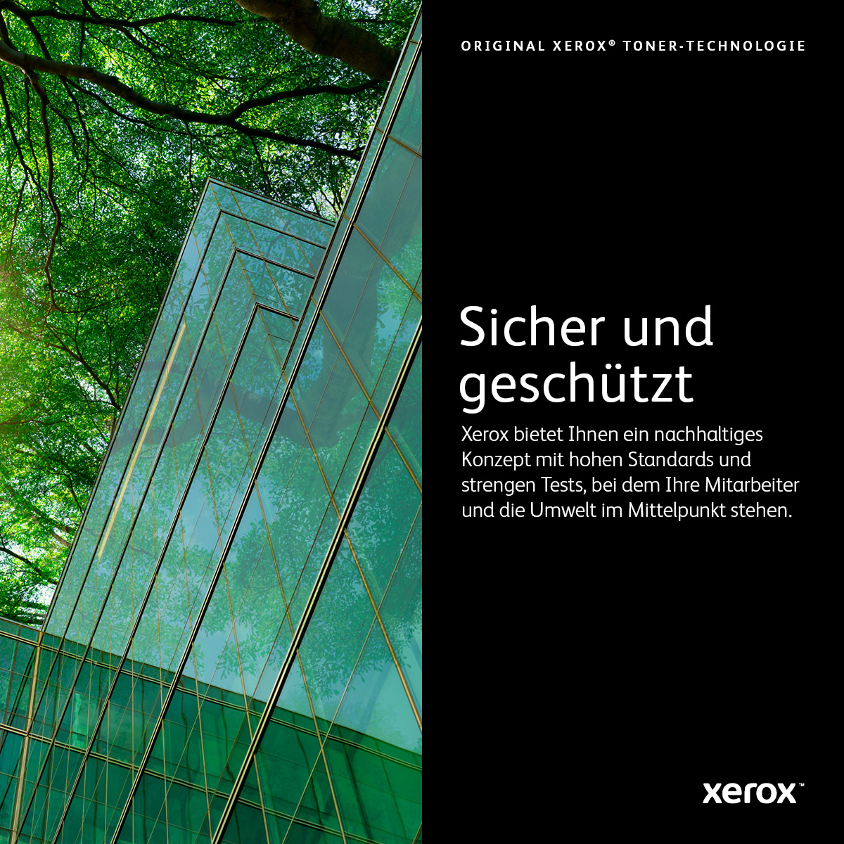 Xerox Mit hoher Kapazitt - Schwarz - original