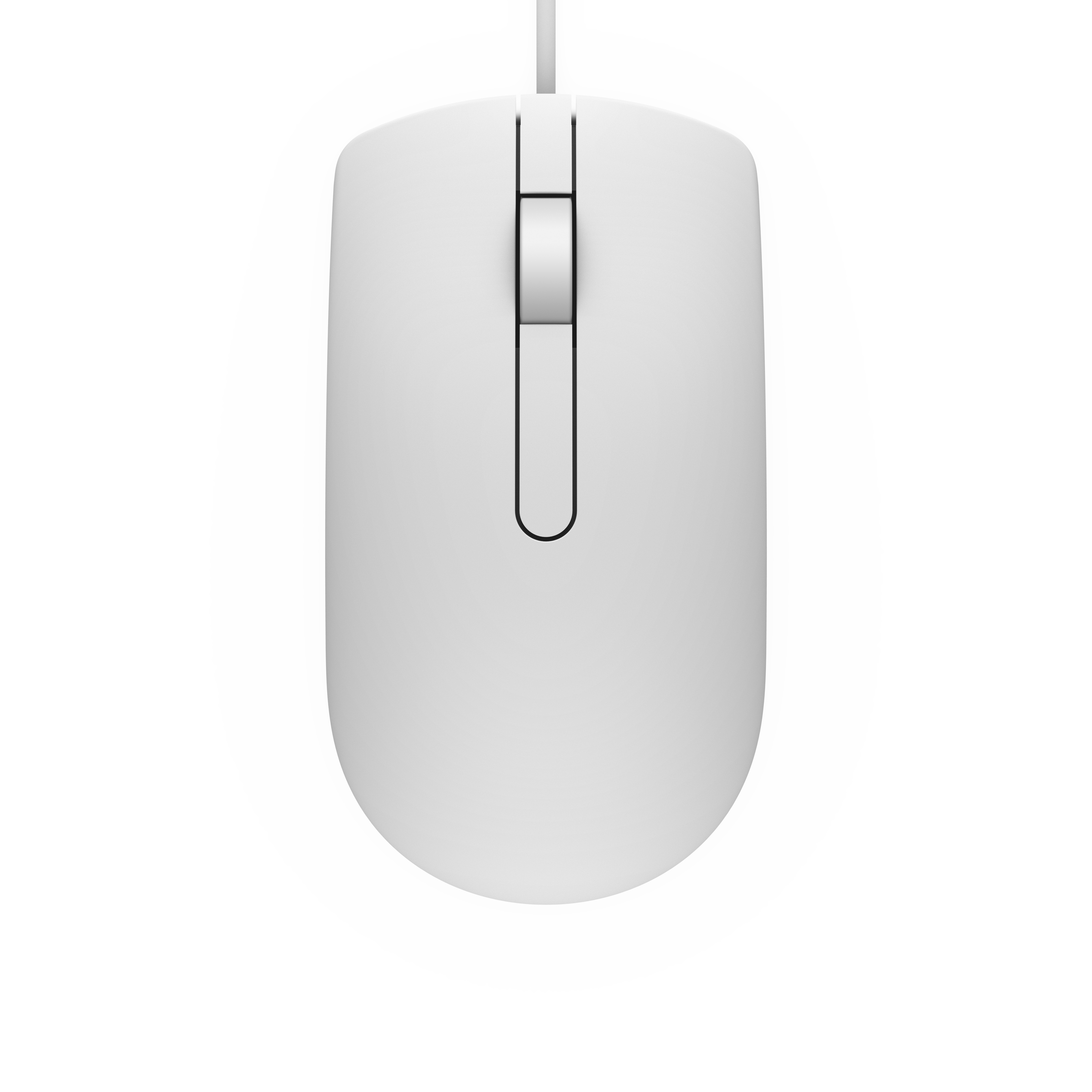 DELL MS116 mouse Ambidextrous USB Type-A Optical 1000 DPI