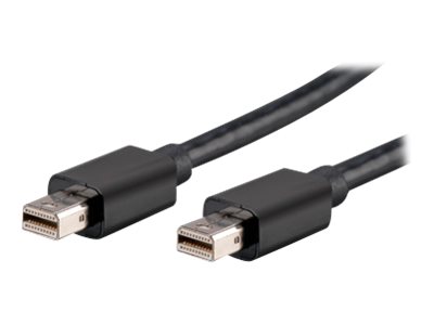 Akasa DisplayPort-Kabel - Mini DisplayPort (M)