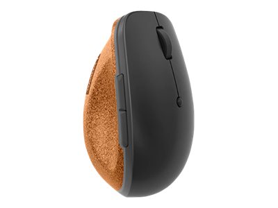 Lenovo Go - Maus - ergonomisch - F�r Rechtsh�nder - optisch blau - 6 Tasten - kabellos - 2.4 GHz - kabelloser Empf�nger (USB)