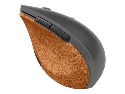 Lenovo Go - Maus - ergonomisch - F�r Rechtsh�nder - optisch blau - 6 Tasten - kabellos - 2.4 GHz - kabelloser Empf�nger (USB)
