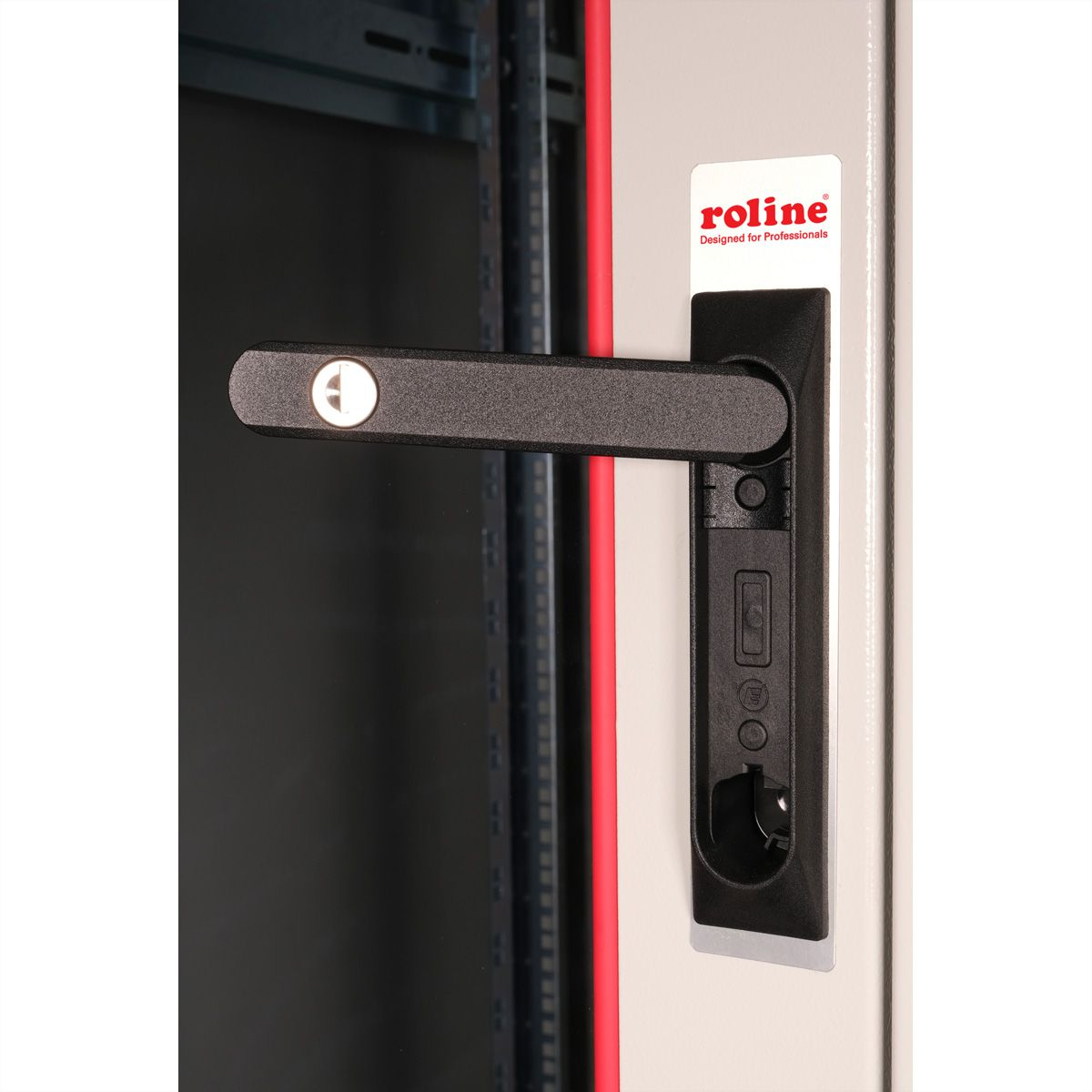 ROLINE Basic - Schrank Netzwerkschrank - Glas T�r, 600x800 BxT - RAL 7035, Hellgrau - 42HE - 48.3 cm (19)