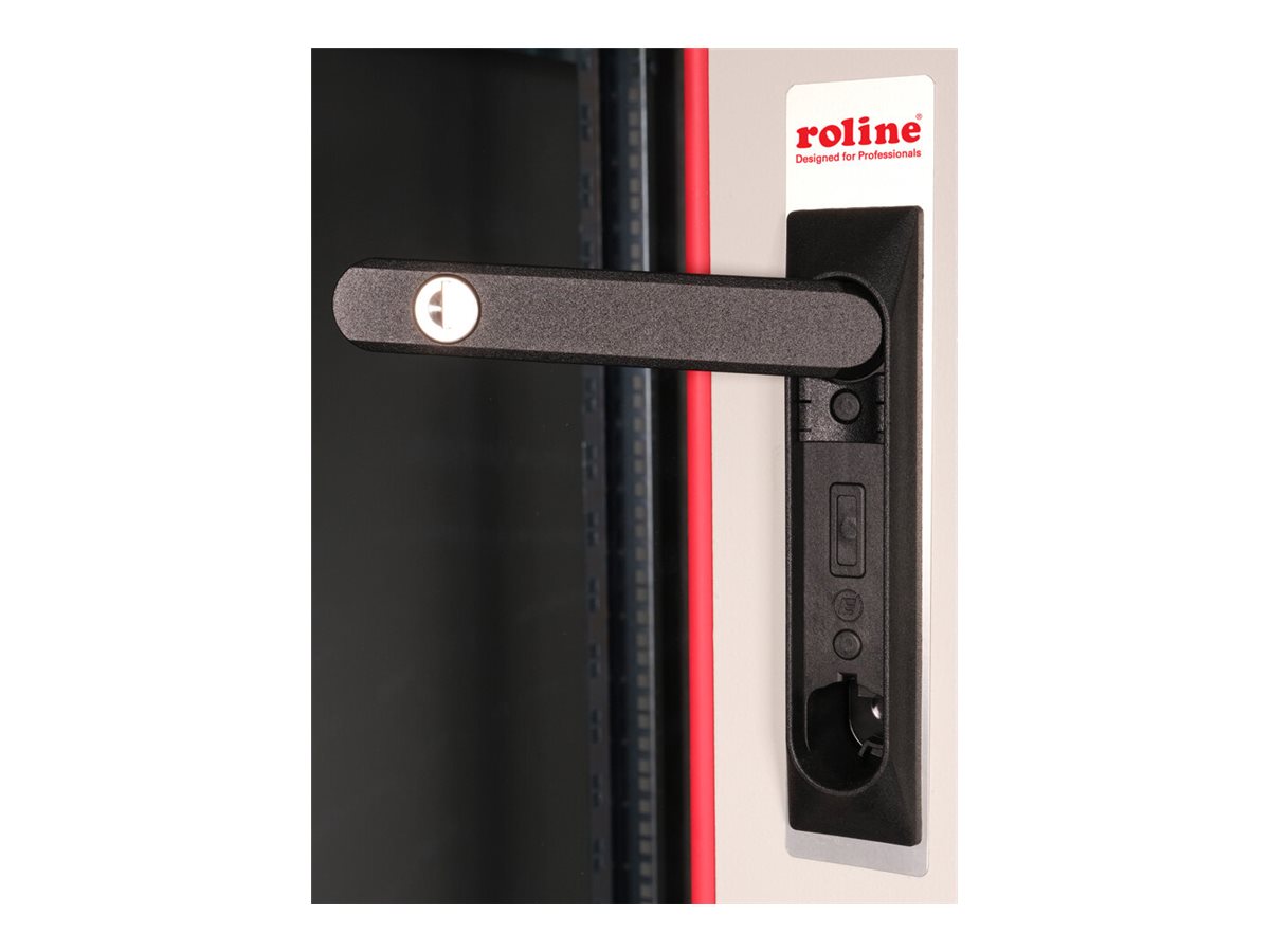 ROLINE Basic - Schrank Netzwerkschrank - Glas T�r, 600x800 BxT - RAL 7035, Hellgrau - 42HE - 48.3 cm (19)