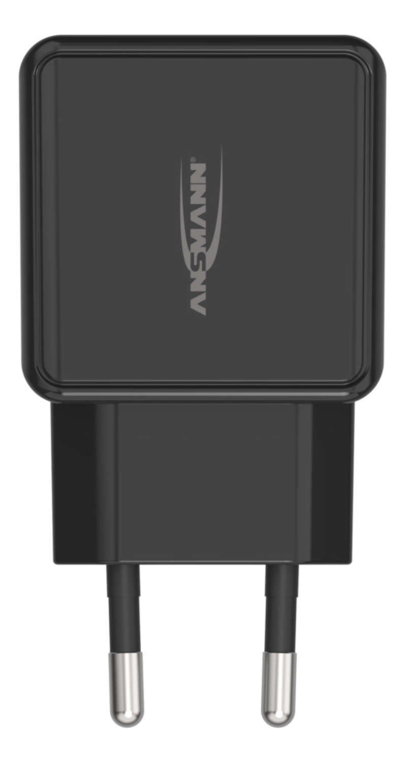 Ansmann HC212 - Netzteil - 12 Watt - 2400 mA - 2 Ausgabeanschlussstellen (USB)