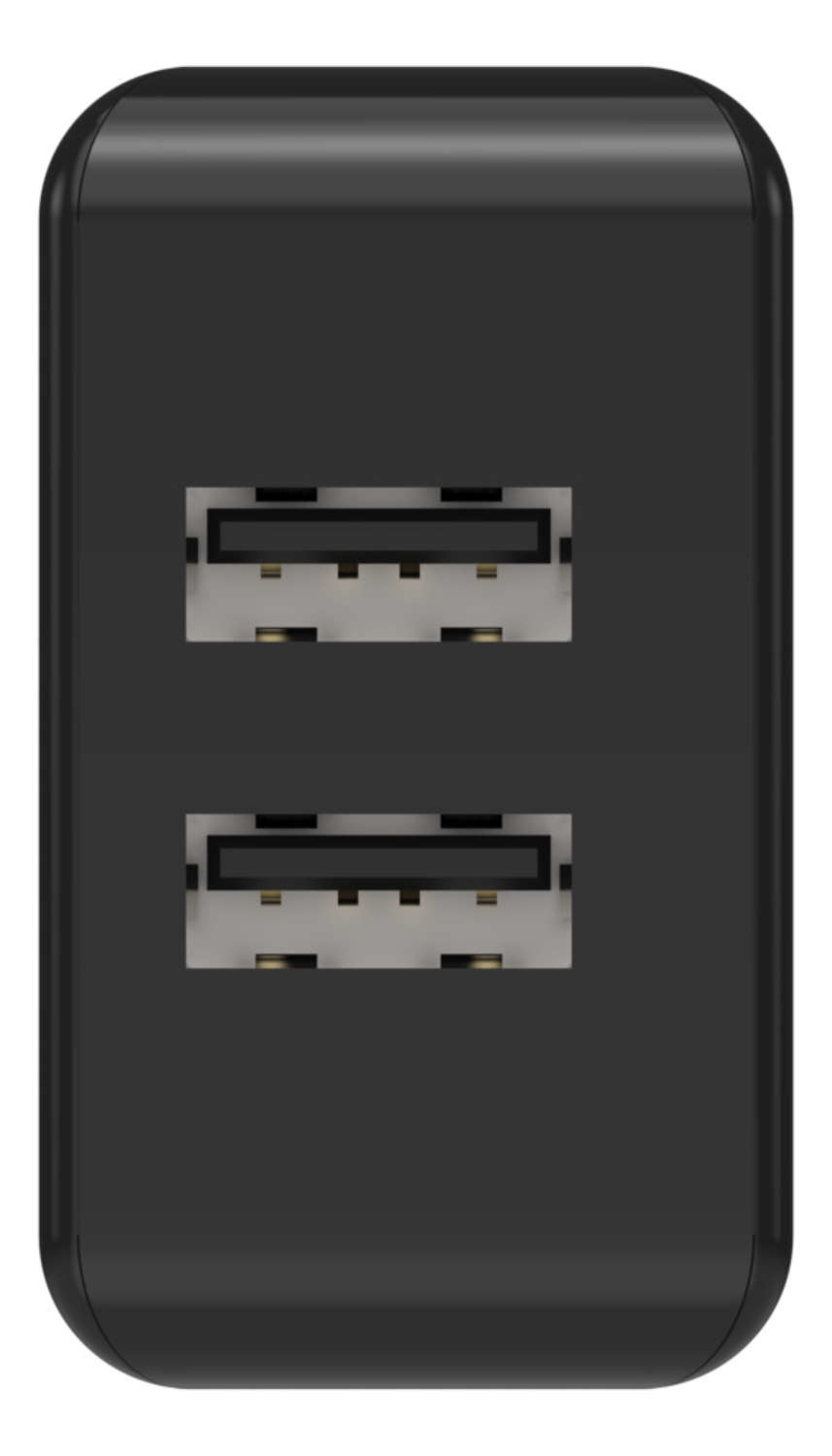 Ansmann HC212 - Netzteil - 12 Watt - 2400 mA - 2 Ausgabeanschlussstellen (USB)