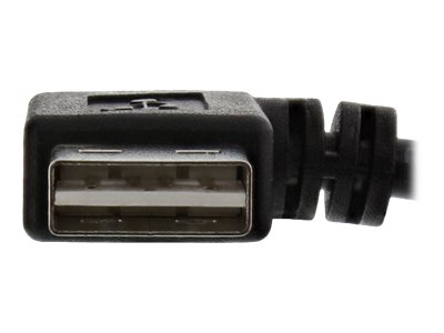 InLine USB A/USB A M/F 0.2m cable USB 0,2 m USB 2.0 Negro