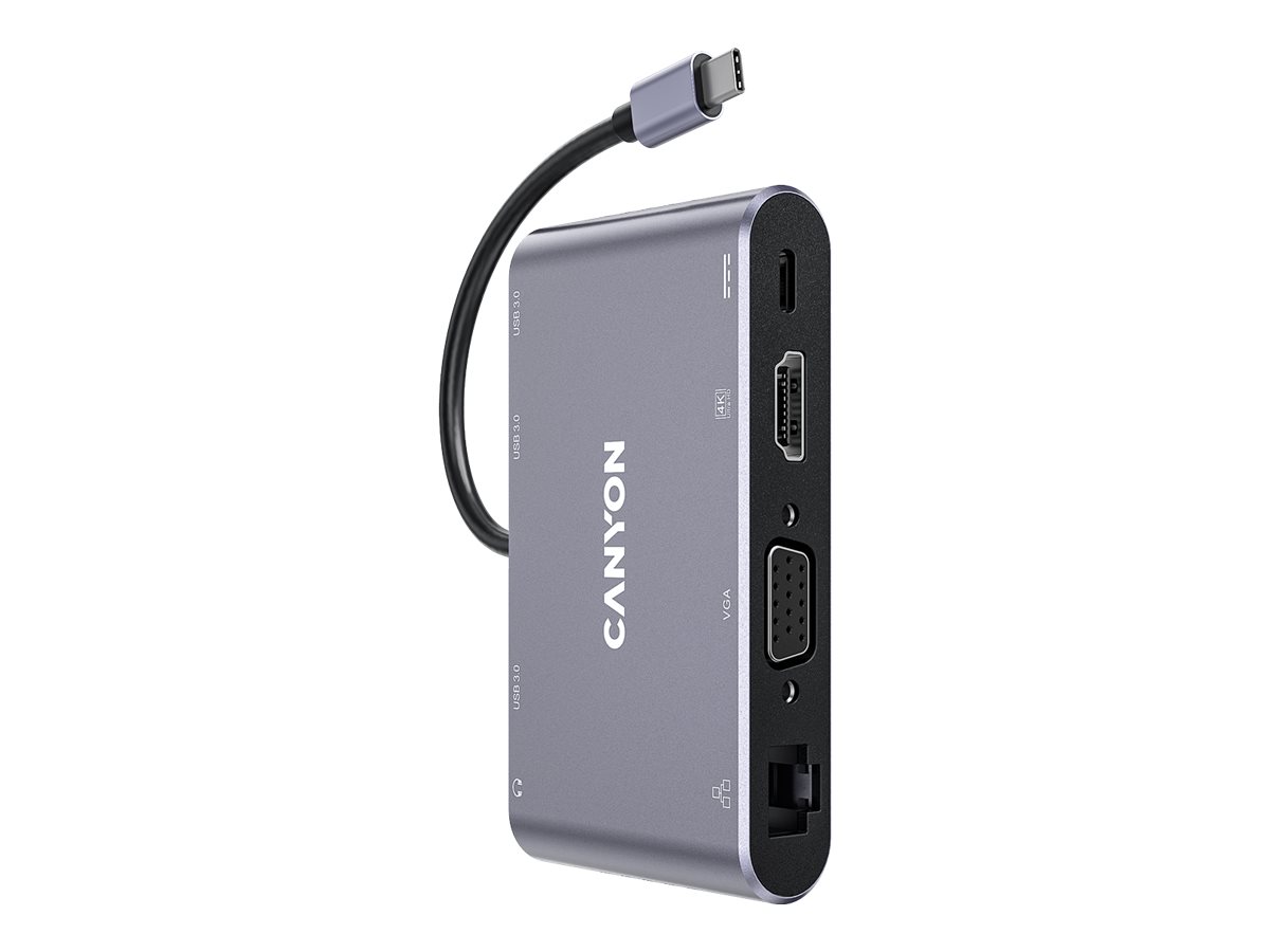 Canyon DS-14 USB 3.2 Gen 1 (3.1 Gen 1) Type-C Gris