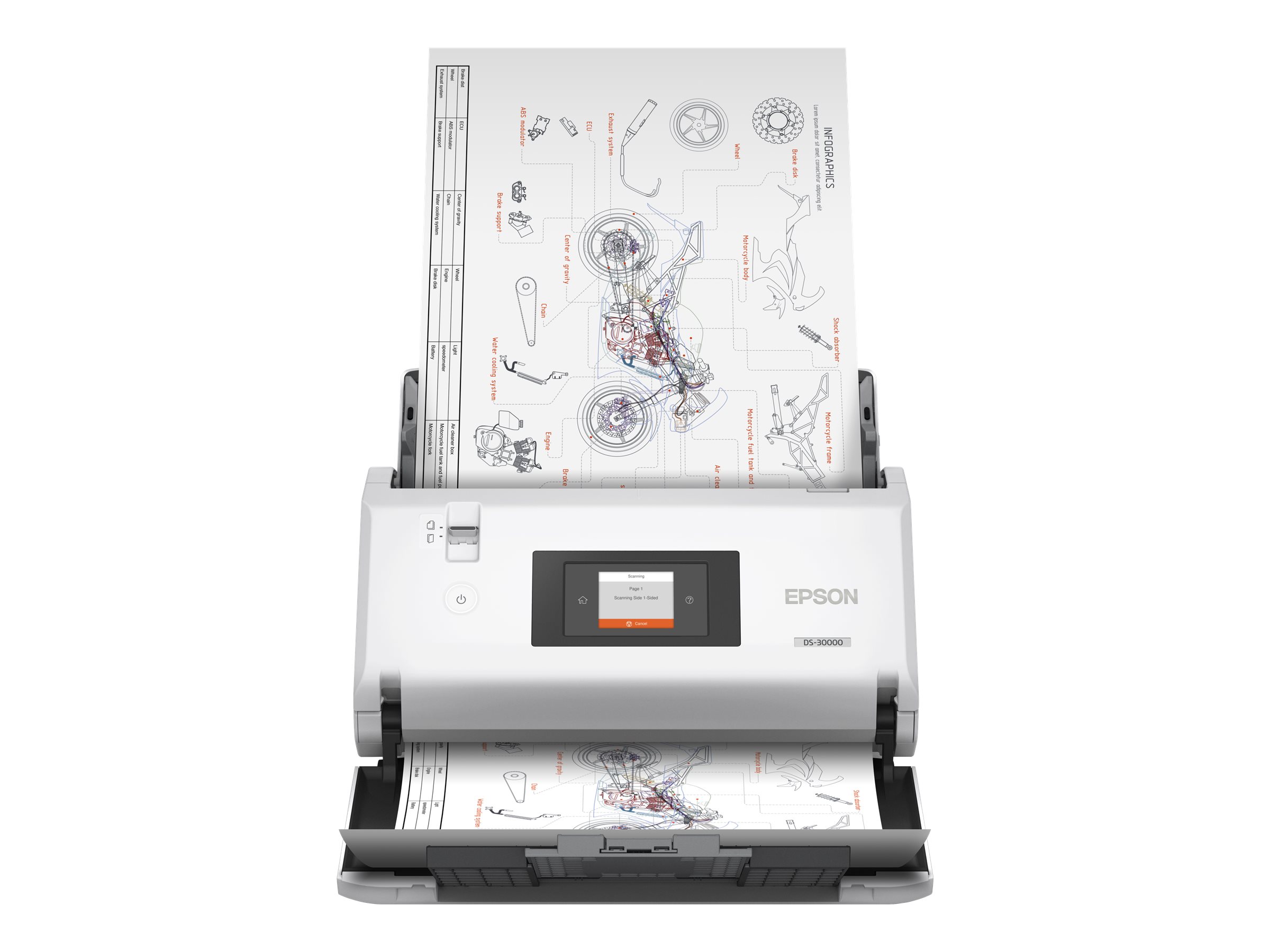 Epson WorkForce DS-30000 Sheet-fed scanner 600 x 600 DPI A3 White