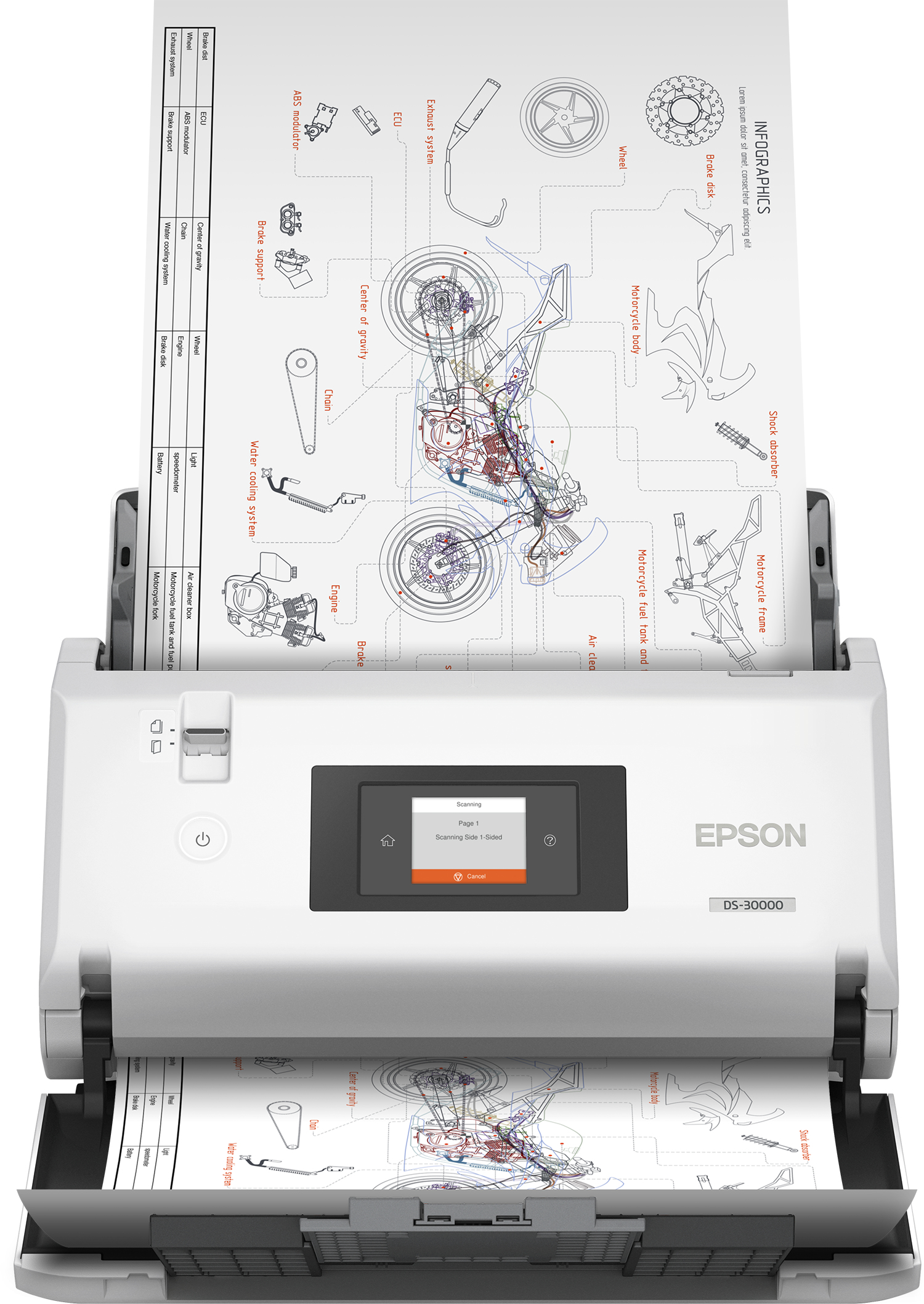 Epson WorkForce DS-30000 Sheet-fed scanner 600 x 600 DPI A3 White