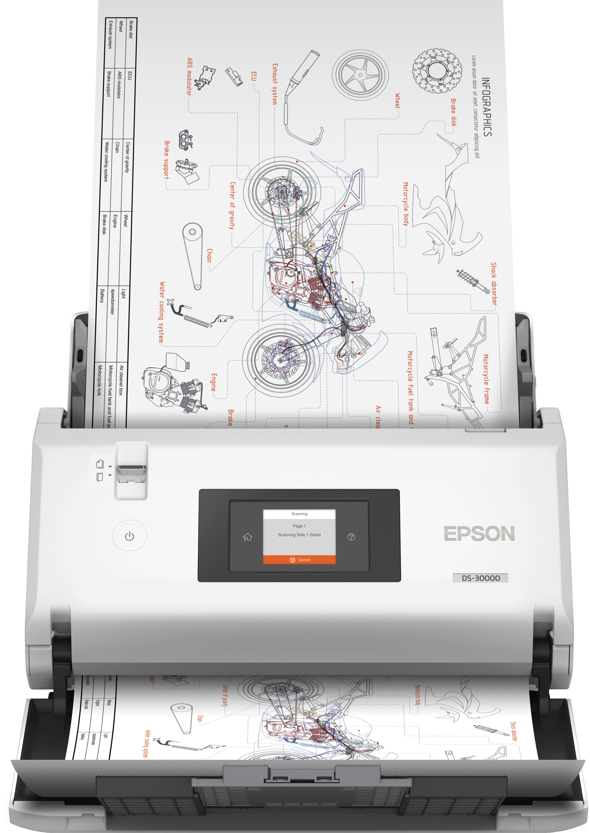 Epson WorkForce DS-30000 Sheet-fed scanner 600 x 600 DPI A3 White