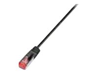 Wirewin Patch-Kabel - RJ-45 (M) zu RJ-45 (M)