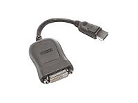 Lenovo DVI-Adapter - Single Link - DisplayPort (M)