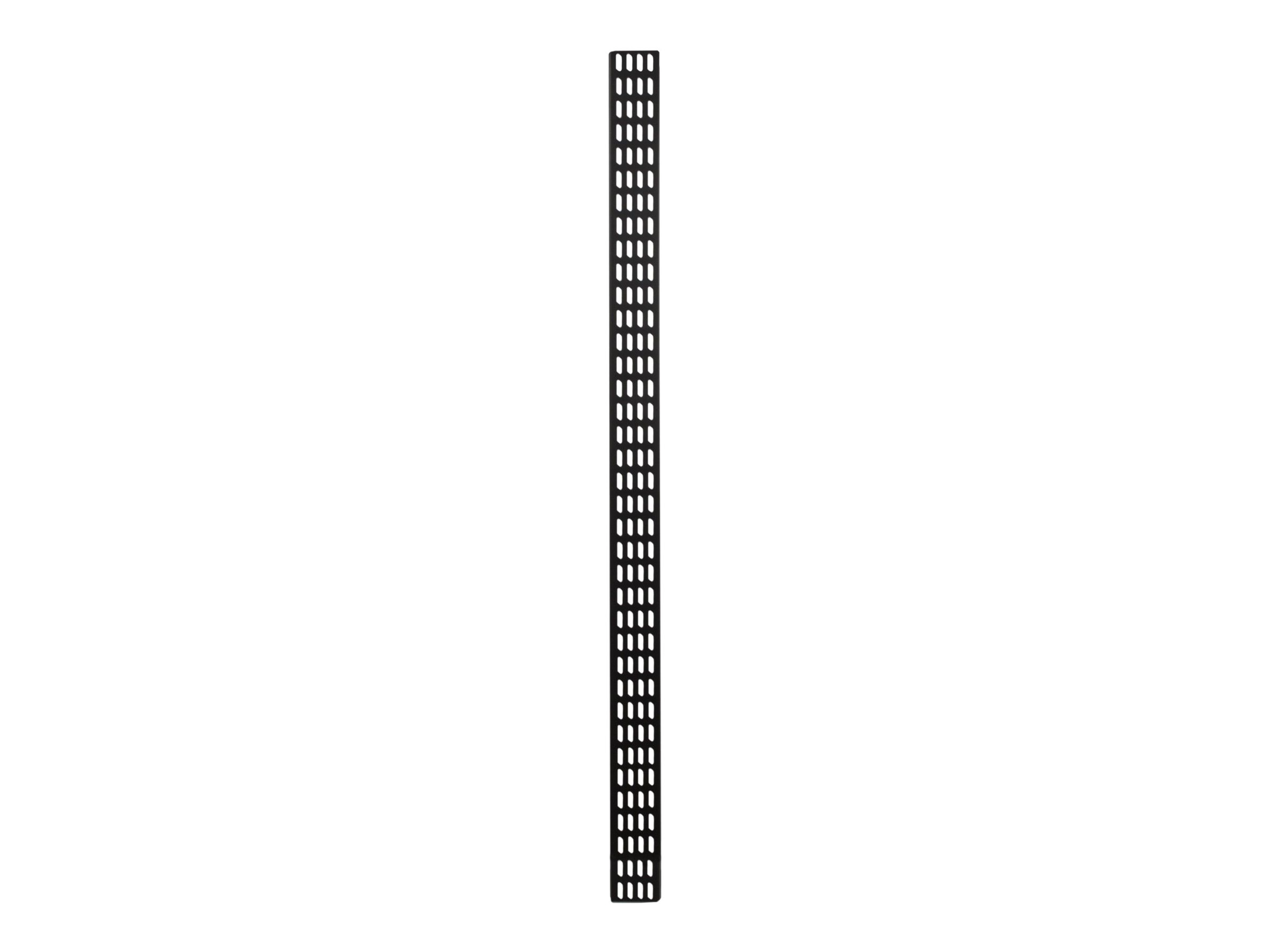 DSIT Rack-Kabelf�hrungsleiste - vertikal
