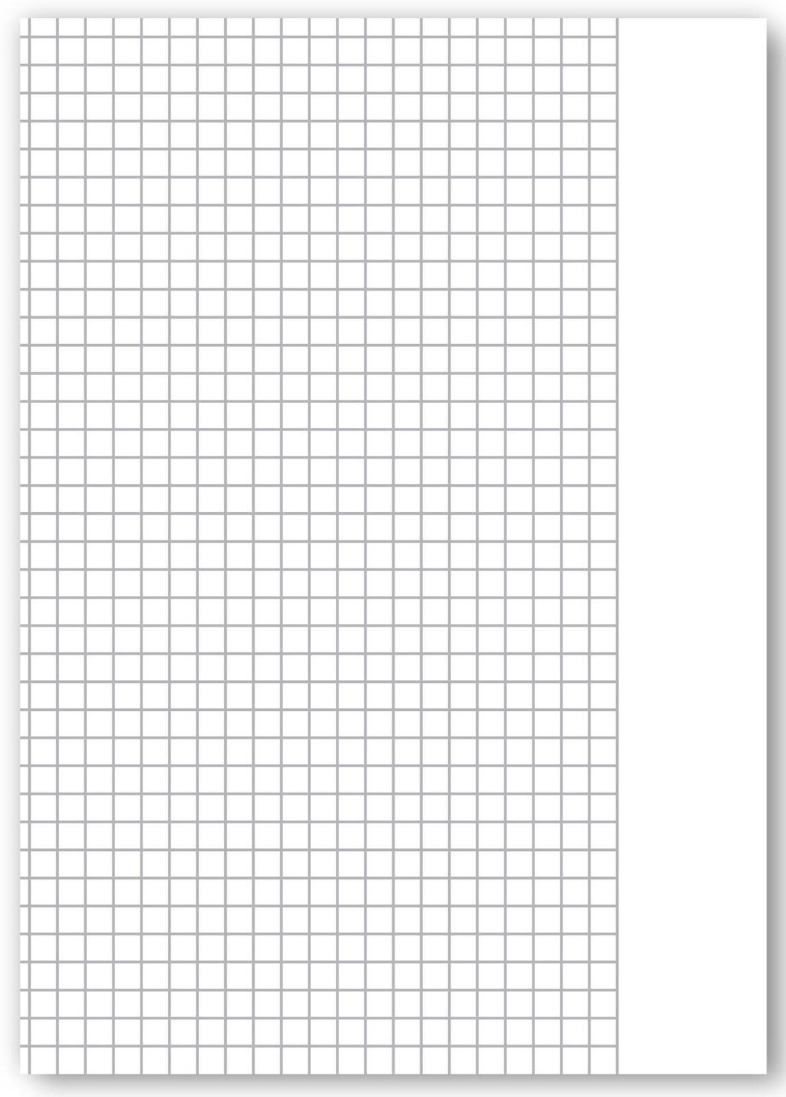 Staufen 10 Schulhefte Lineatur 10 kariert Au�enrand