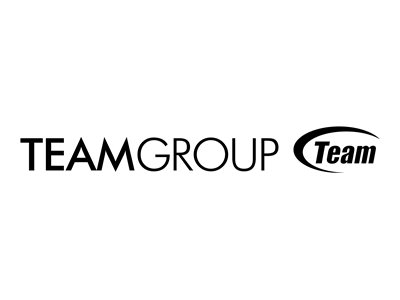 Team Group Team - Flash-Speicherkarte (SD-Adapter inbegriffen)