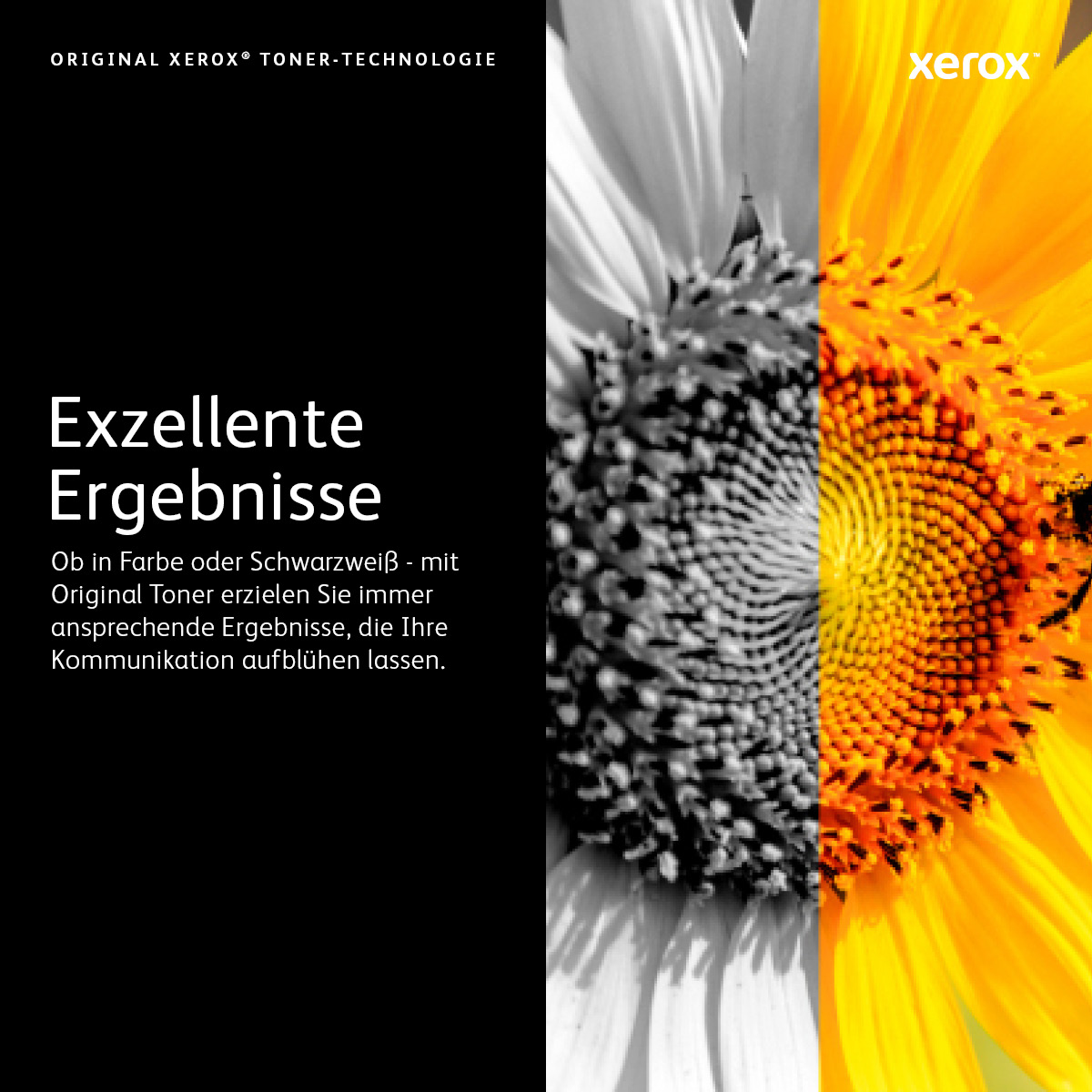Xerox 006R01395 - Toner schwarz - fr WorkCentre 7425 7428 7435