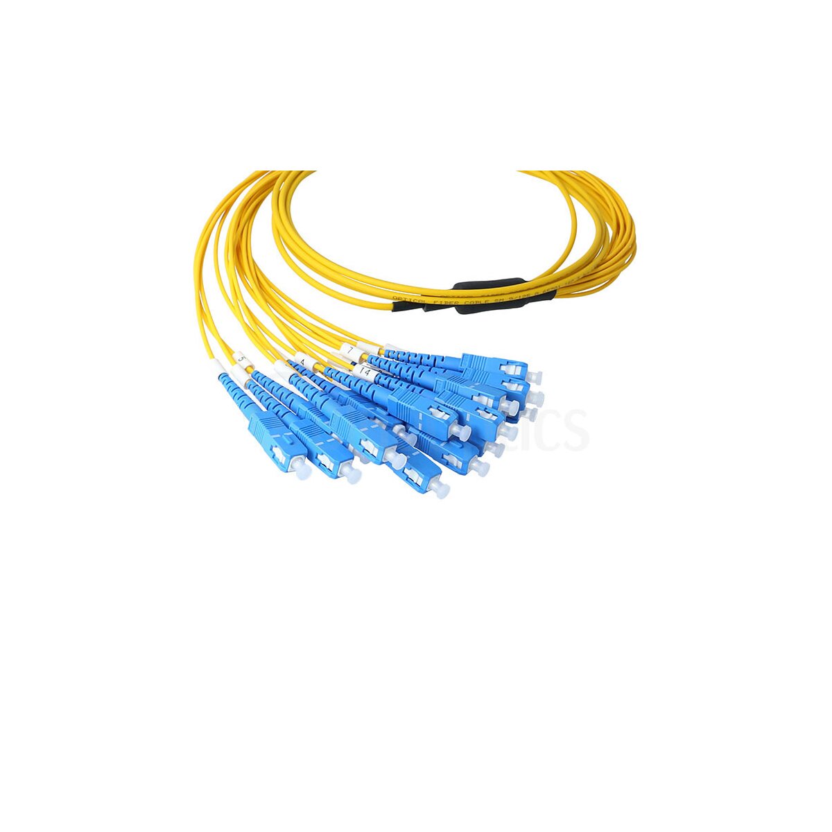 BlueOptics SFP5542BU fibre optic cable 3 m MPO 8x SC G.657.A1