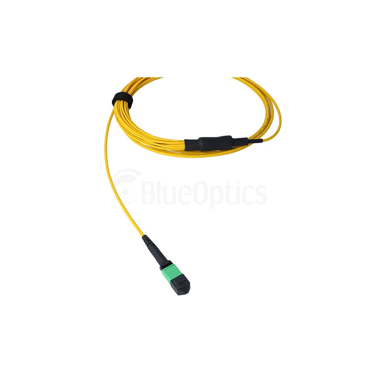 BlueOptics SFP5542BU fibre optic cable 3 m MPO 8x SC G.657.A1