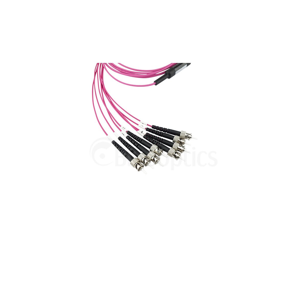 BlueOptics LWL MTP/4xST Breakout Kabel OM4 3 Meter