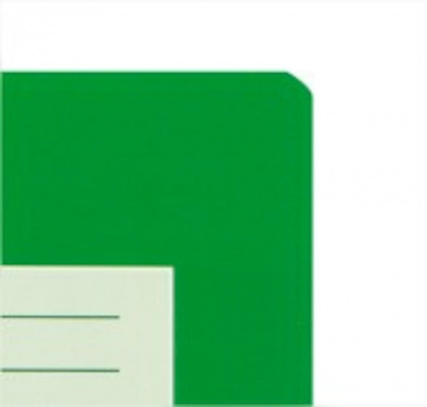 Oxford 100050091 quaderno per scrivere A4 Verde