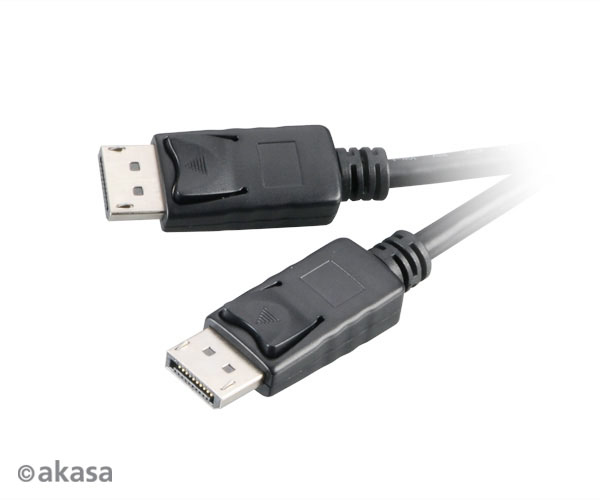 Akasa AK-CBDP01-20BK cable DisplayPort 2 m Negro