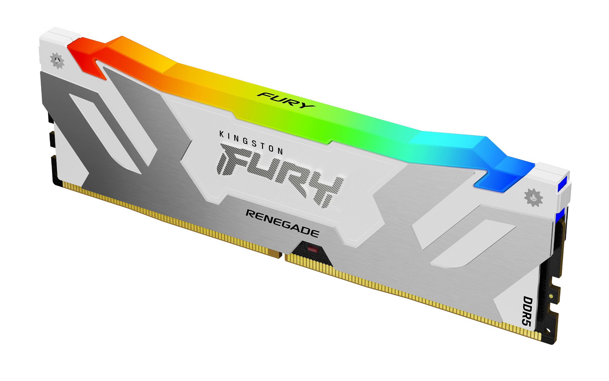 Kingston FURY Renegade RGB - DDR5 - Kit - 64 GB: 2 x 32 GB