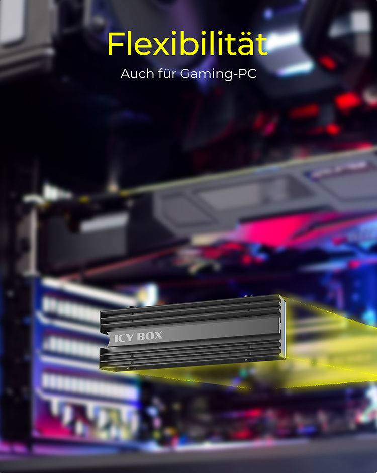 ICY BOX IB-M2HS-PS5 Dissipatore