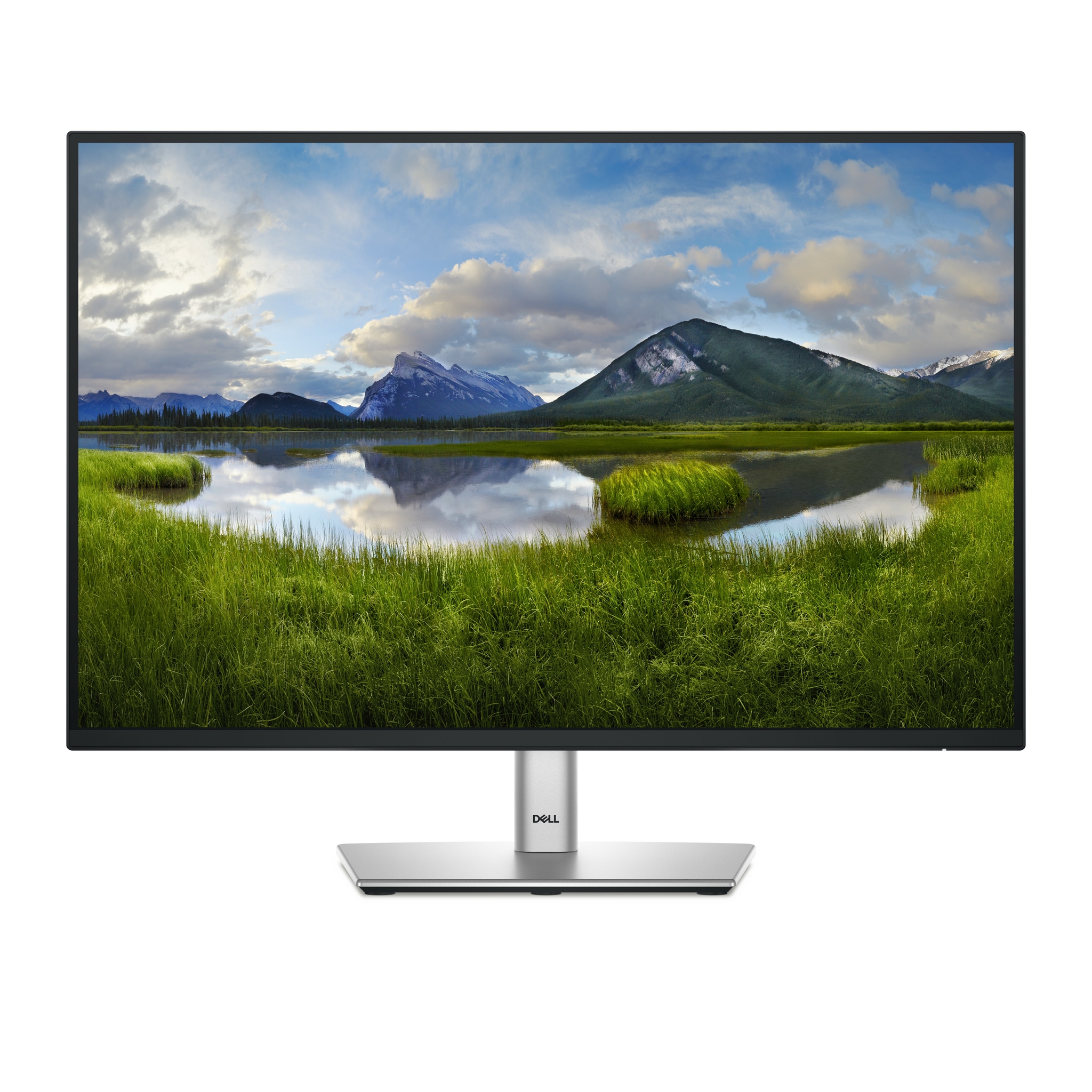 Dell P2425E - LED-Monitor - 61 cm (24) (24.07 sichtbar)