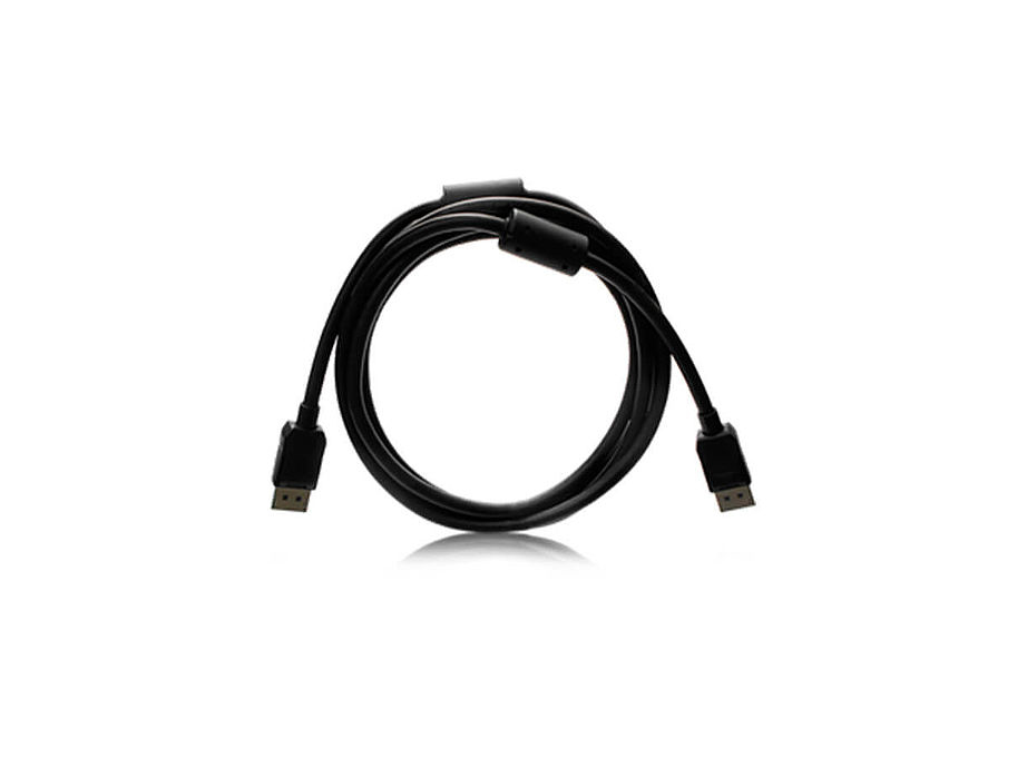 EIZO PP200-K 2 m DisplayPort Negro