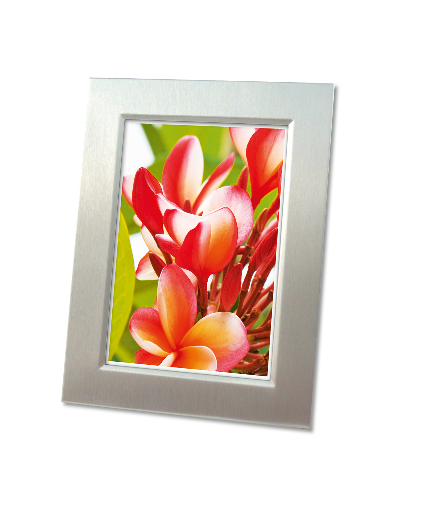 Avery Zweckform Avery Premium Glossy Photo Paper - Gl�nzend - wei� - A4 (210 x 297 mm)