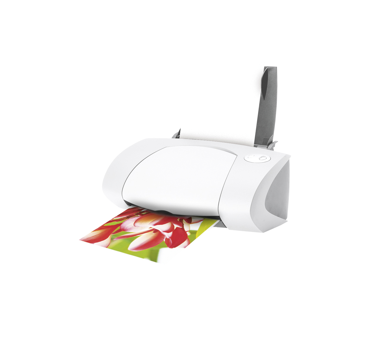 Avery Zweckform Avery Premium Glossy Photo Paper - Gl�nzend - wei� - A4 (210 x 297 mm)