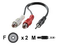 VALUE Secomp VALUE - Audiokabel - Stereo Mini-Klinkenstecker mnnlich zu RCA weiblich